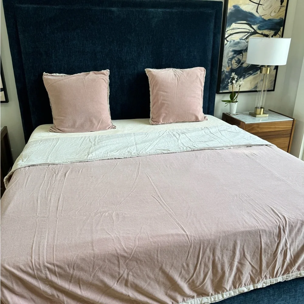 West Elm King Velvet Duvet Cover Set - Reversible Mauve/Beige